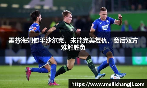 霍芬海姆憾平沙尔克，未能完美复仇，赛后双方难解胜负