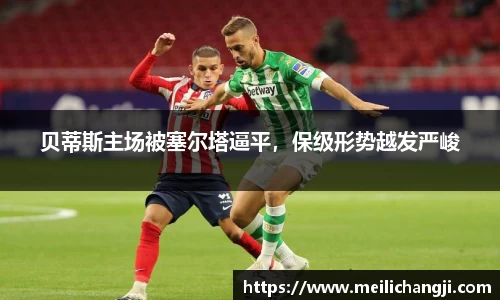 bsports官网入口