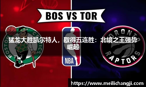 bsports登录入口