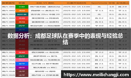 数据分析：成都足球队在赛季中的表现与经验总结
