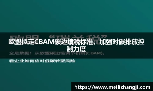 bsports登录入口
