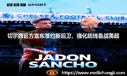 bsports登录入口
