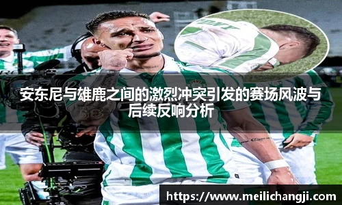 安东尼与雄鹿之间的激烈冲突引发的赛场风波与后续反响分析