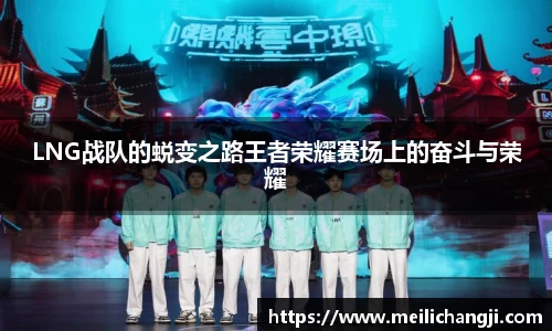 bsports登录入口